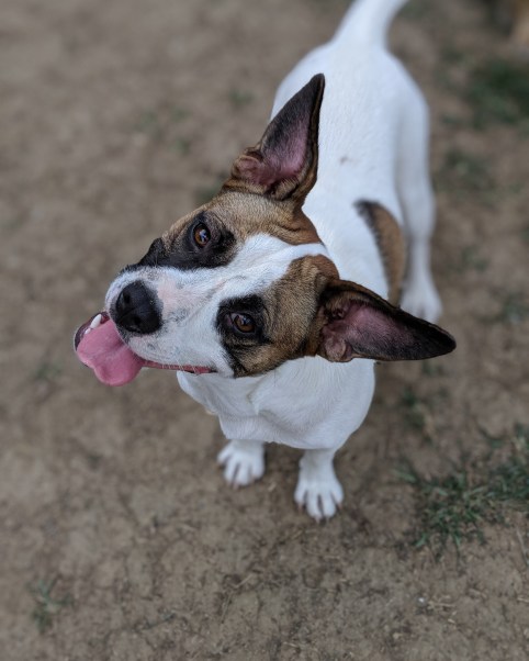 -4786541670647593887