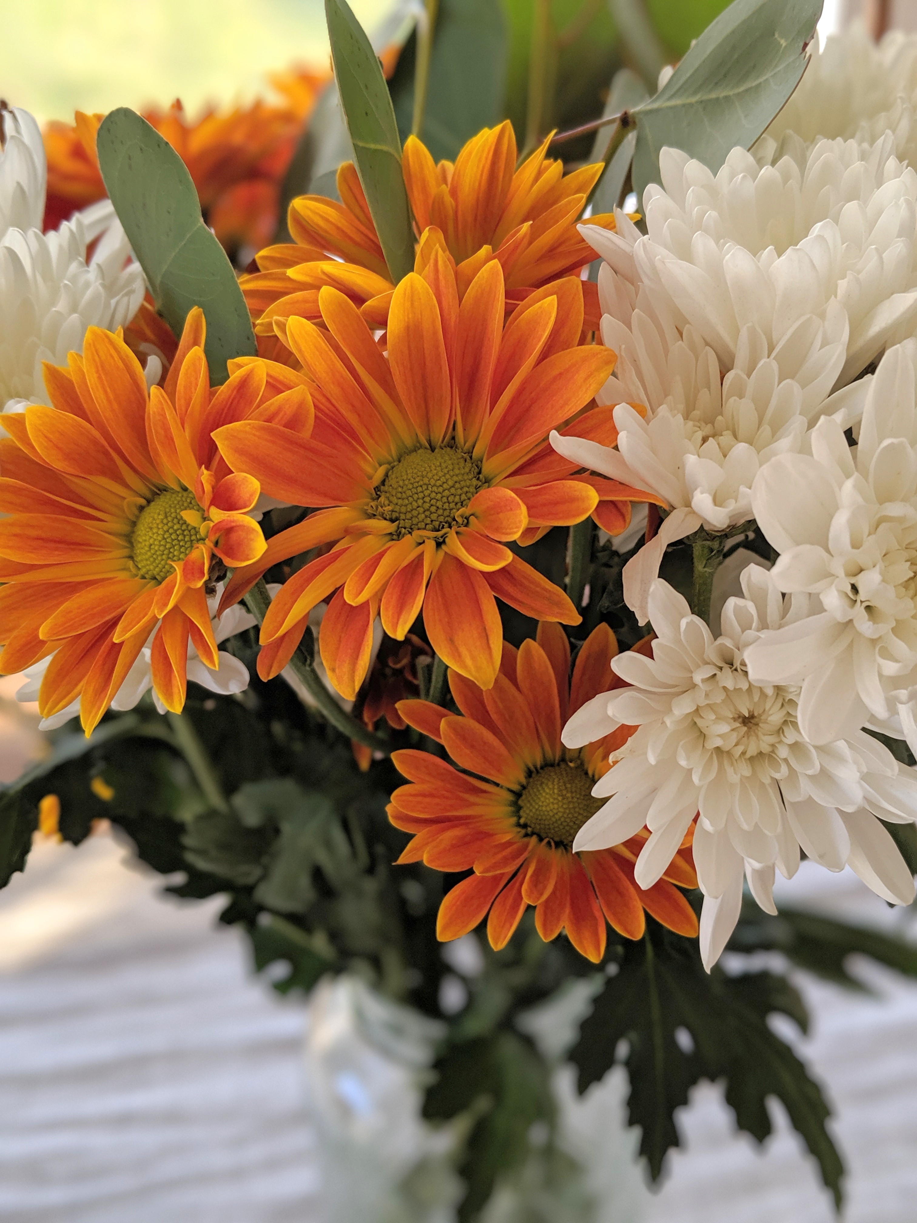 00100lPORTRAIT_00100_BURST20190923182921447_COVER