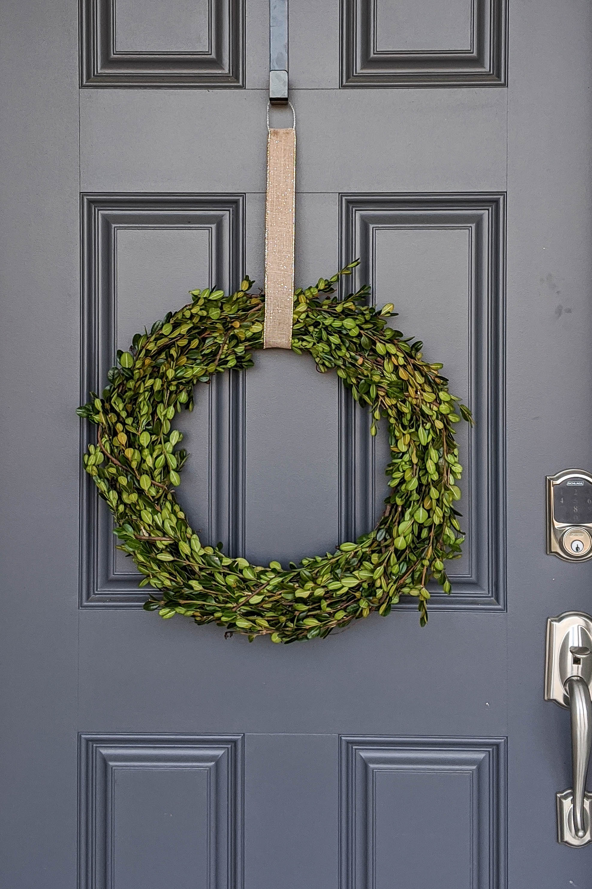 00000IMG_00000_BURST20191116150025044_COVER