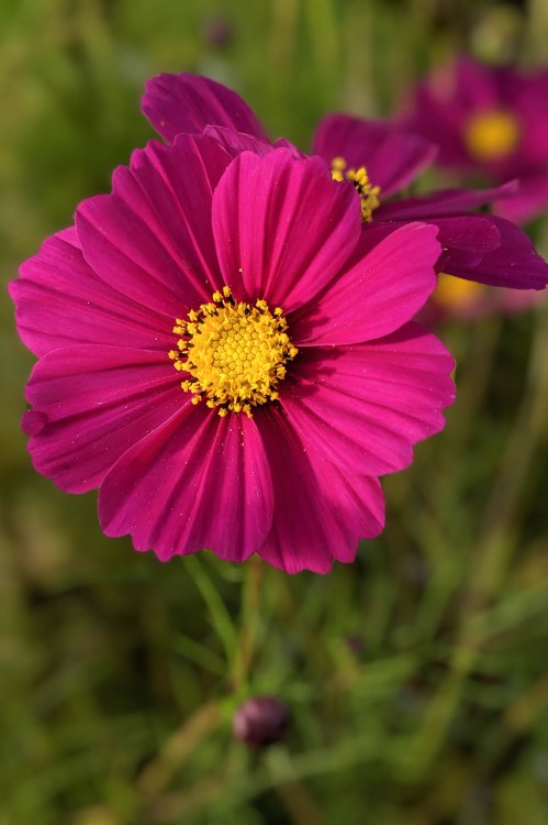 00100lPORTRAIT_00100_BURST20190915181803051_COVER